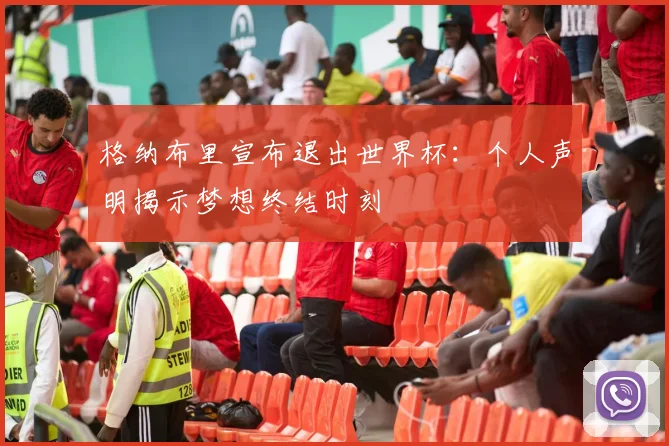格纳布里宣布退出世界杯:个人声明揭示梦想终结时刻